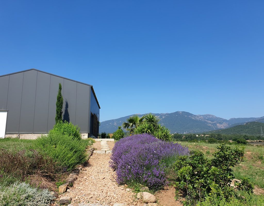 6. Il Semplice e il Divino_Porto Vecchio